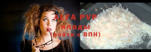 экстази Ельня
