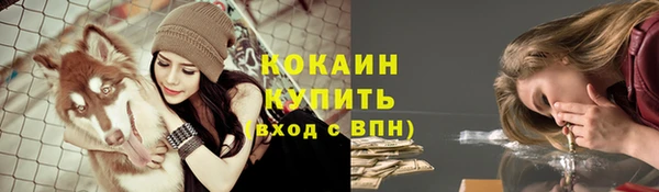 экстази Ельня