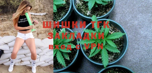 экстази Ельня