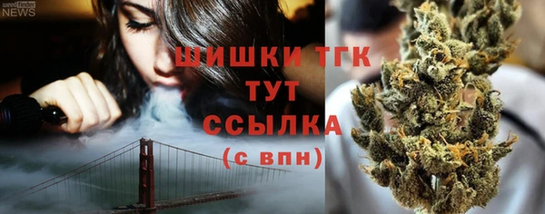 экстази Ельня