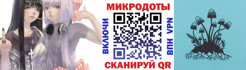 Галлюциногенные грибы прущие грибы Покровск